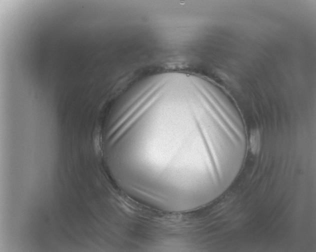 X0000069381444200605262038