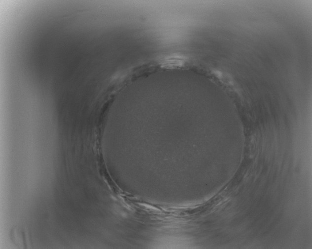 X0000069381445200605262038