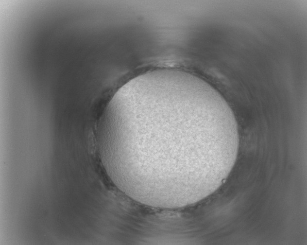 X0000069381446200605262038