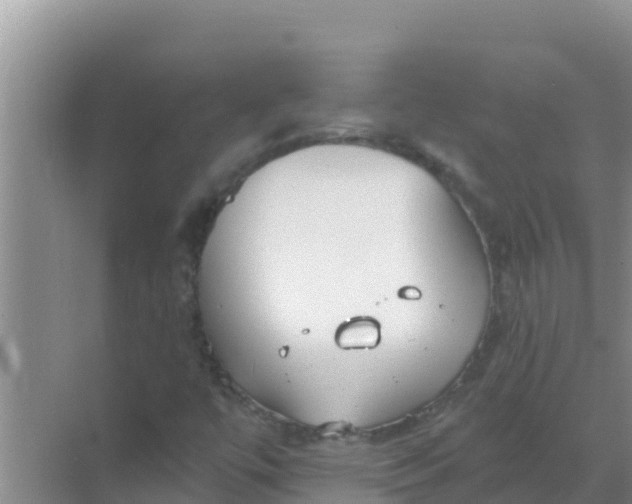 X0000069381447200605262038