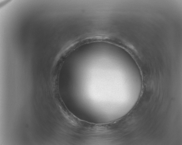 X0000069381448200605262038