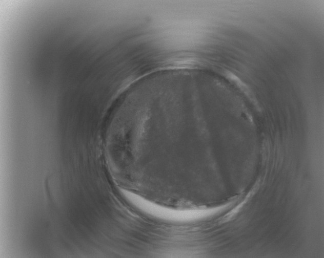 X0000069381449200605262038