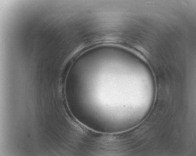 X0000069381450200605262038