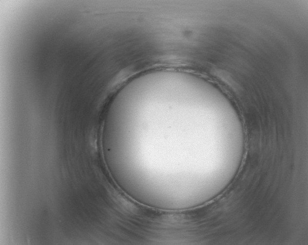 X0000069381451200605262038