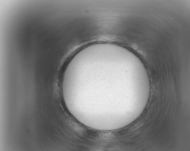 X0000069381454200605262038