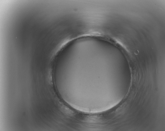 X0000069381455200605262038