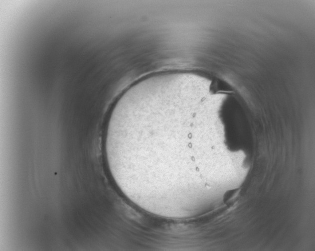 X0000069381459200605262038