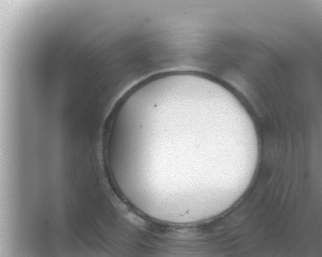 X0000069381460200605262038