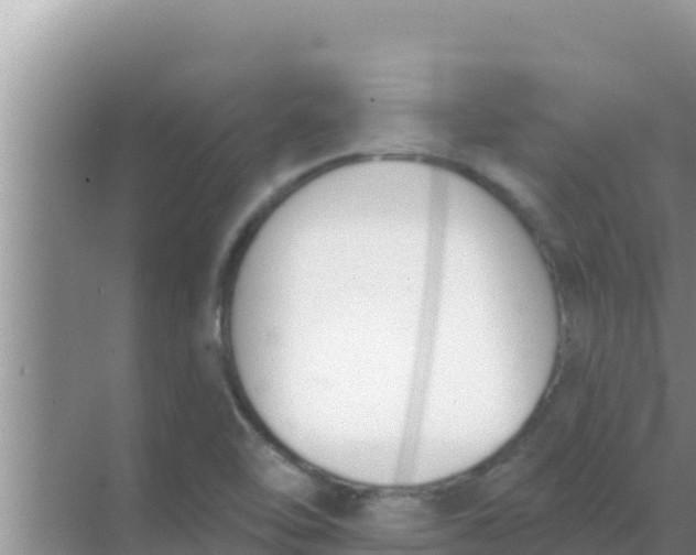 X0000069381462200605262038