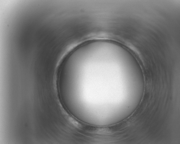 X0000069381464200605262038