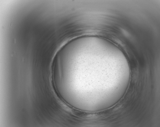 X0000069381467200605262038