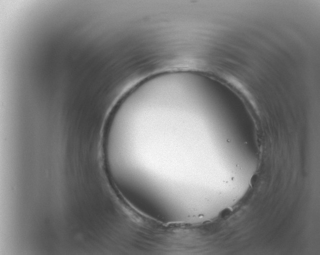 X0000069381469200605262038