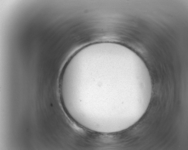 X0000069381470200605262038