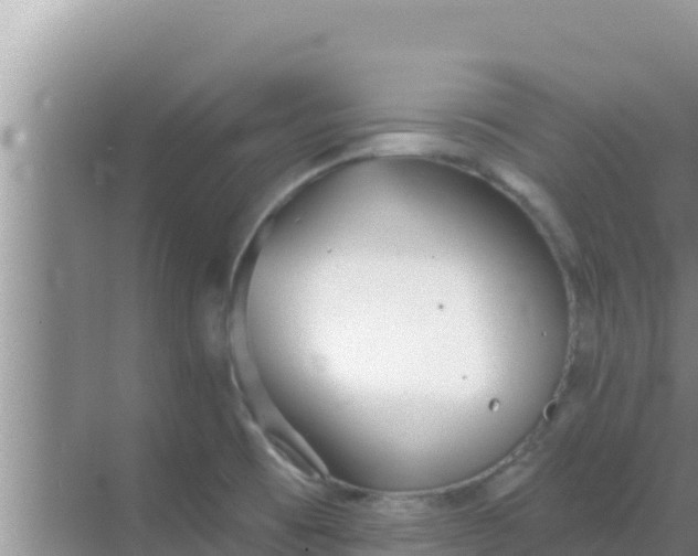 X0000069381473200605262038