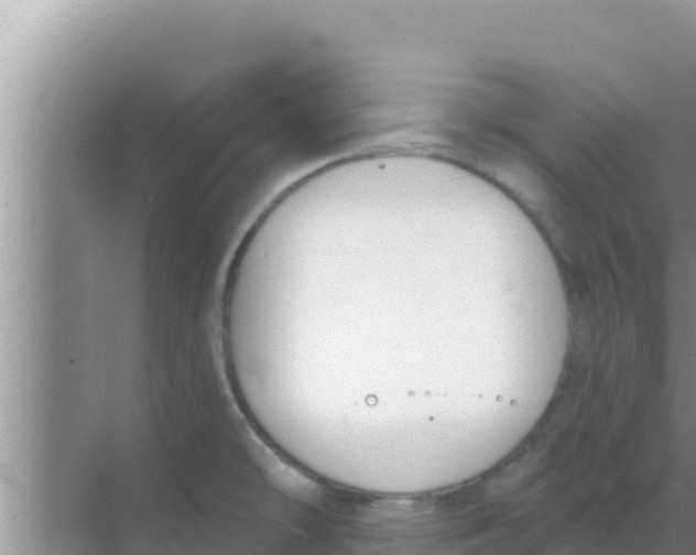 X0000069381478200605262038