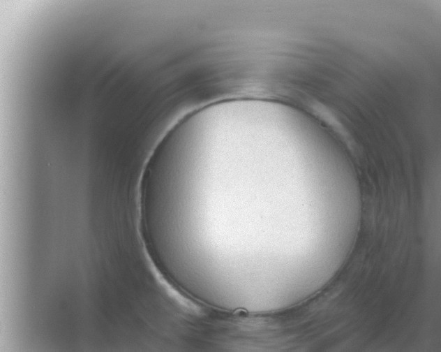 X0000069381479200605262038