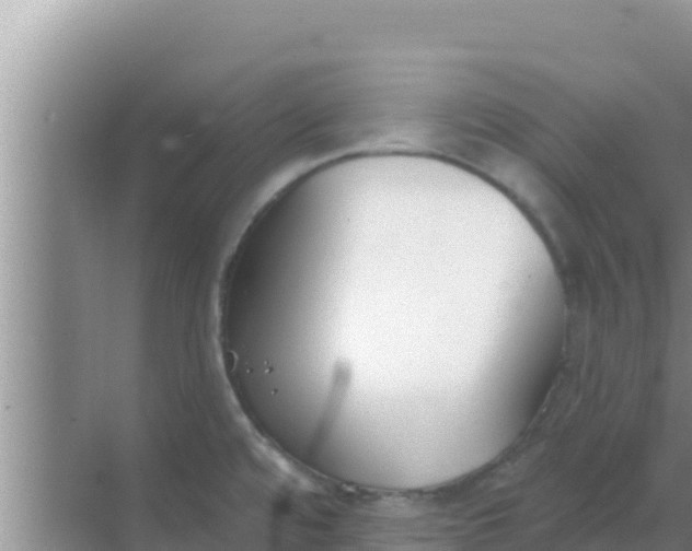 X0000069381480200605262038