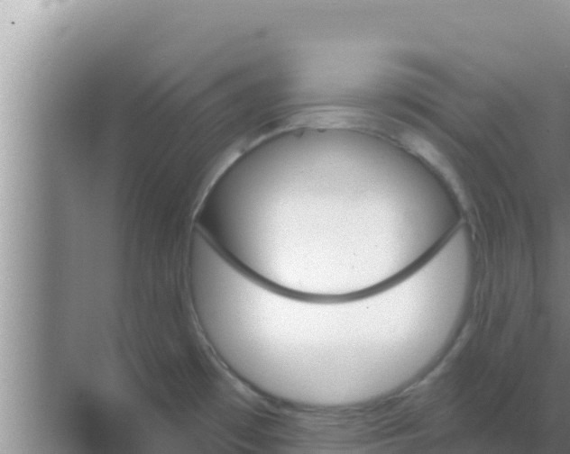 X0000069381481200605262037