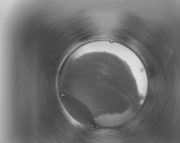 X0000069381482200605262037