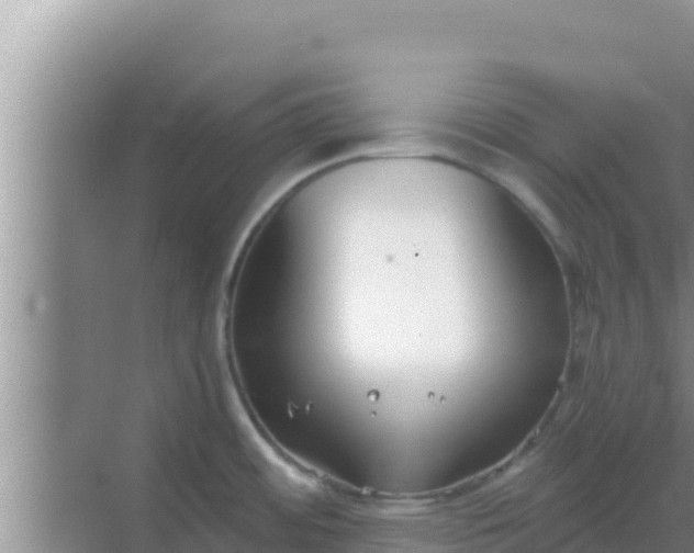 X0000069381484200605262037