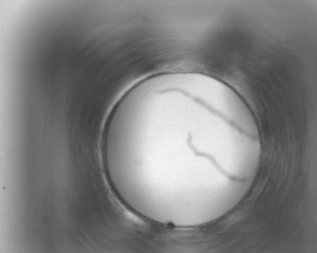 X0000069381486200605262037