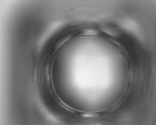 X0000069381487200605262037