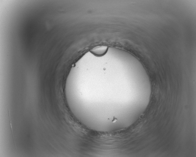 X0000069381489200605262037