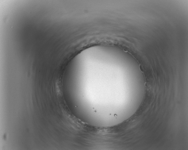 X0000069381490200605262037