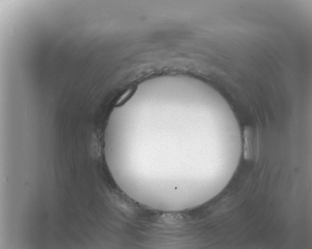 X0000069381491200605262037