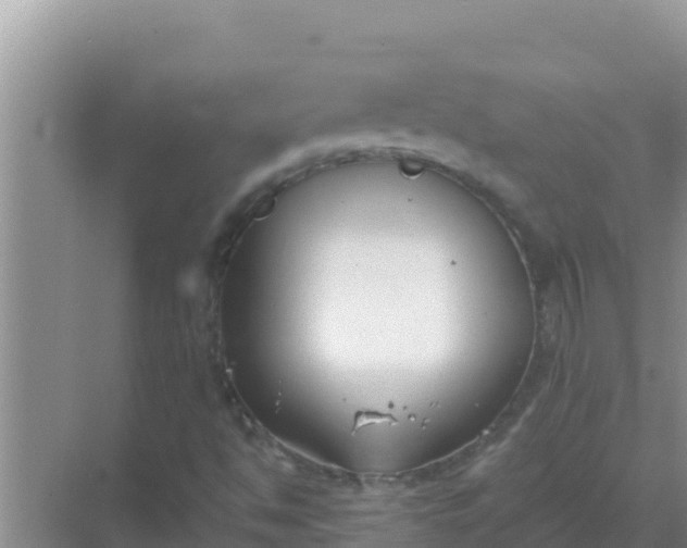 X0000069381494200605262037