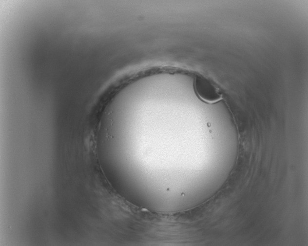 X0000069381495200605262037