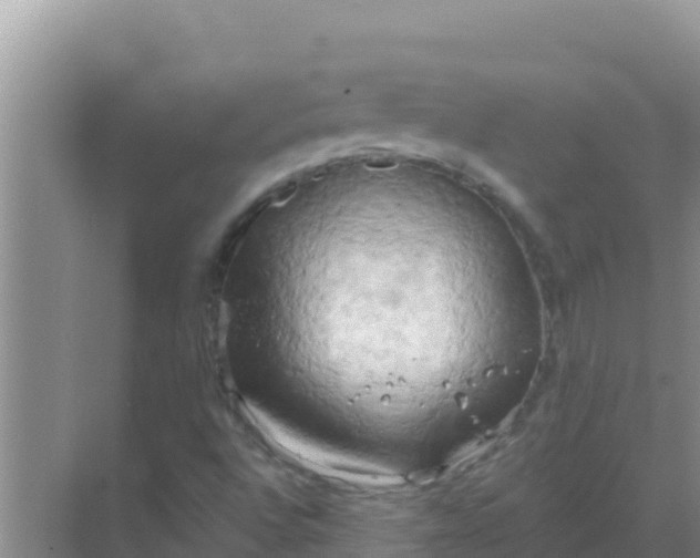 X0000069381496200605262037