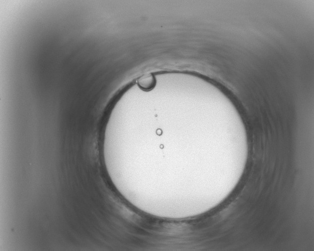 X0000069381498200605262037