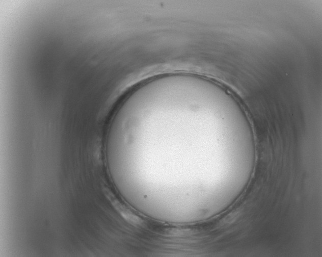 X0000069381499200605262037