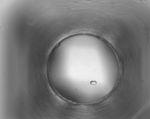 X0000069381500200605262037