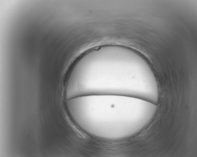 X0000069381507200605262037