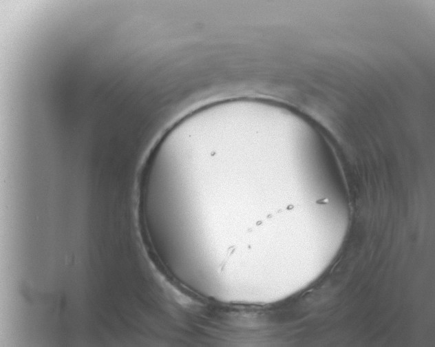 X0000069381508200605262037