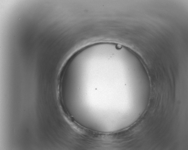 X0000069381511200605262037