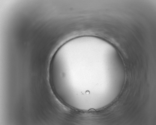 X0000069381512200605262037