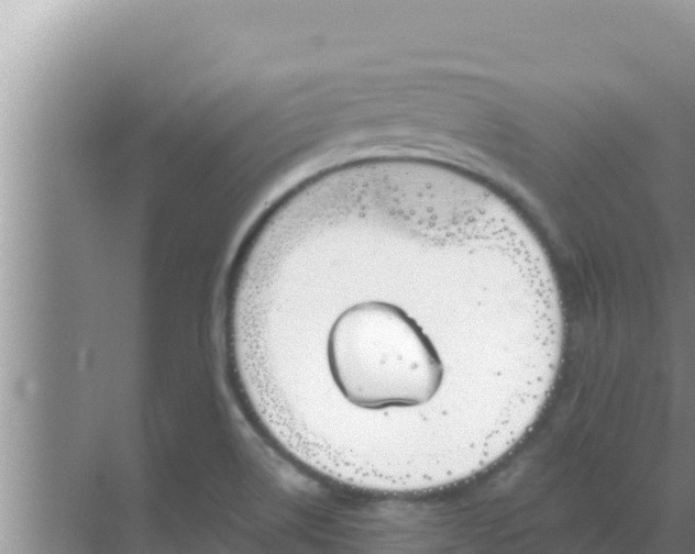 X0000069381514200605262037