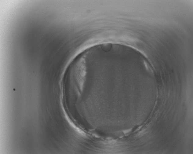 X0000069381515200605262037