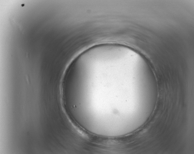 X0000069381517200605262037