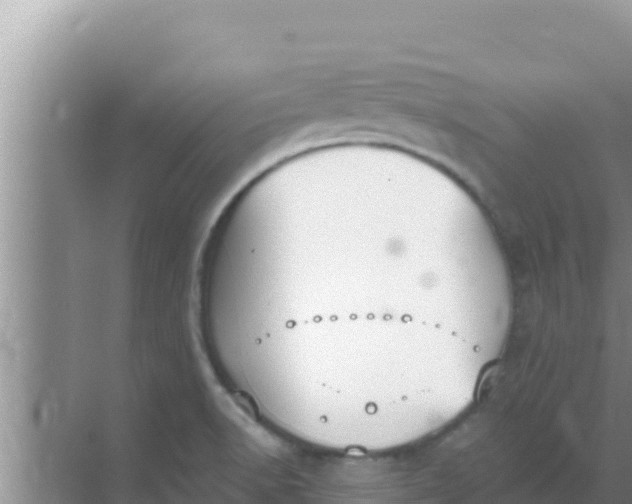 X0000069381518200605262037