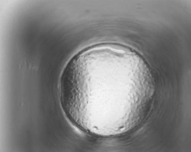 X0000069381519200605262037