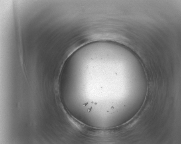 X0000069381521200605262037