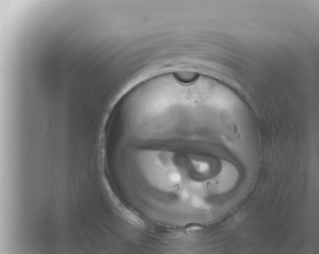 X0000069381522200605262037