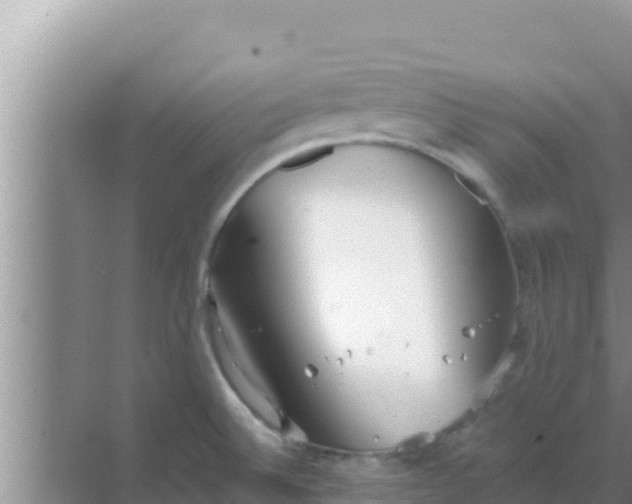 X0000069381524200605262037