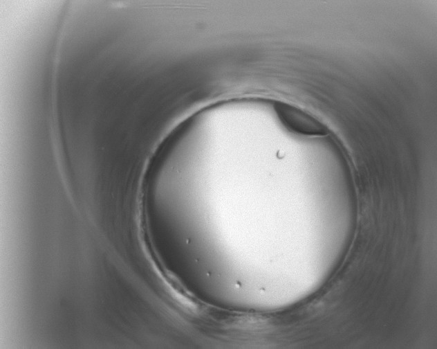 X0000069381525200605262037