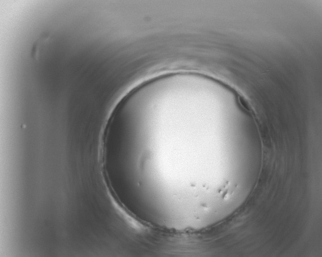 X0000069381527200605262037