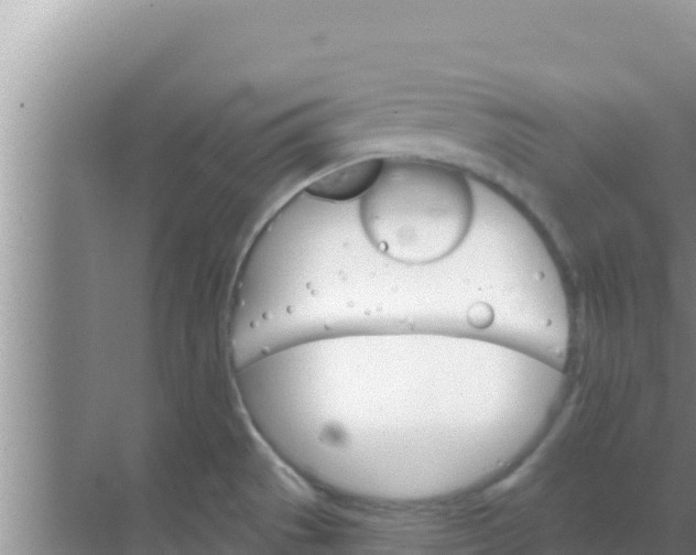 X0000069381529200605262037